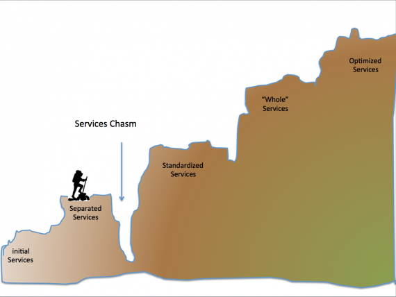 Crossing the Services Chasm