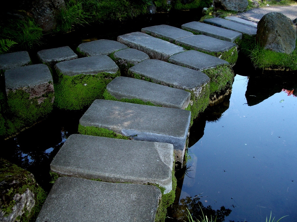 Stepping stone. Пошаговая дорожка в пруду. Пошаговая дорожка к прудику. Stepping Stones. Stepping Stone лари Уайт.