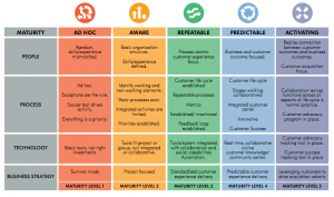 Assessing the Maturity of Your Customer Success Organization - OpenView