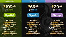 Wufoo Product Pricing Strategy Example