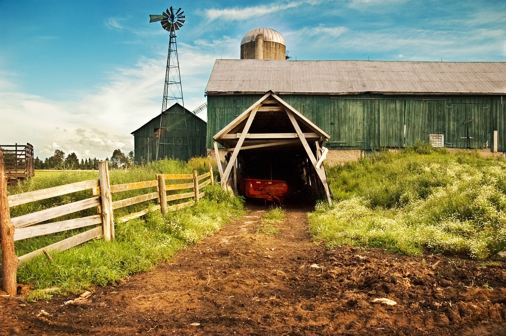 content farm