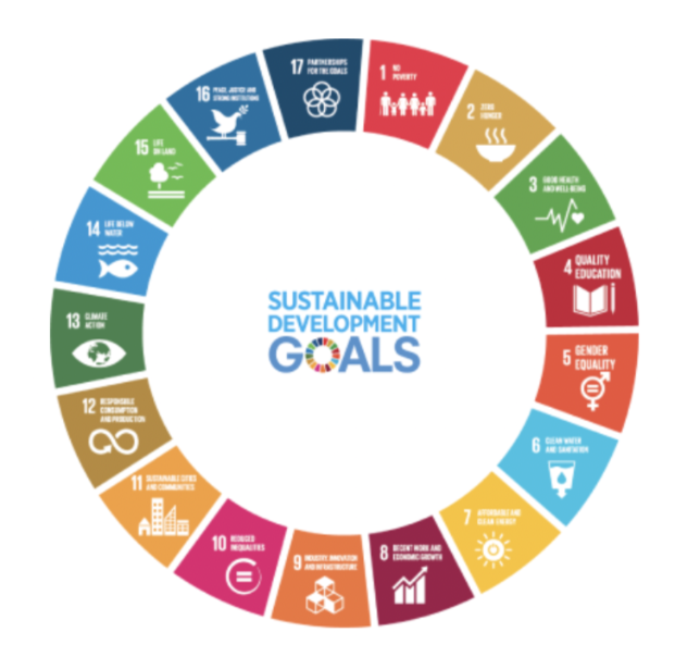 17 UN SDGs to ESG