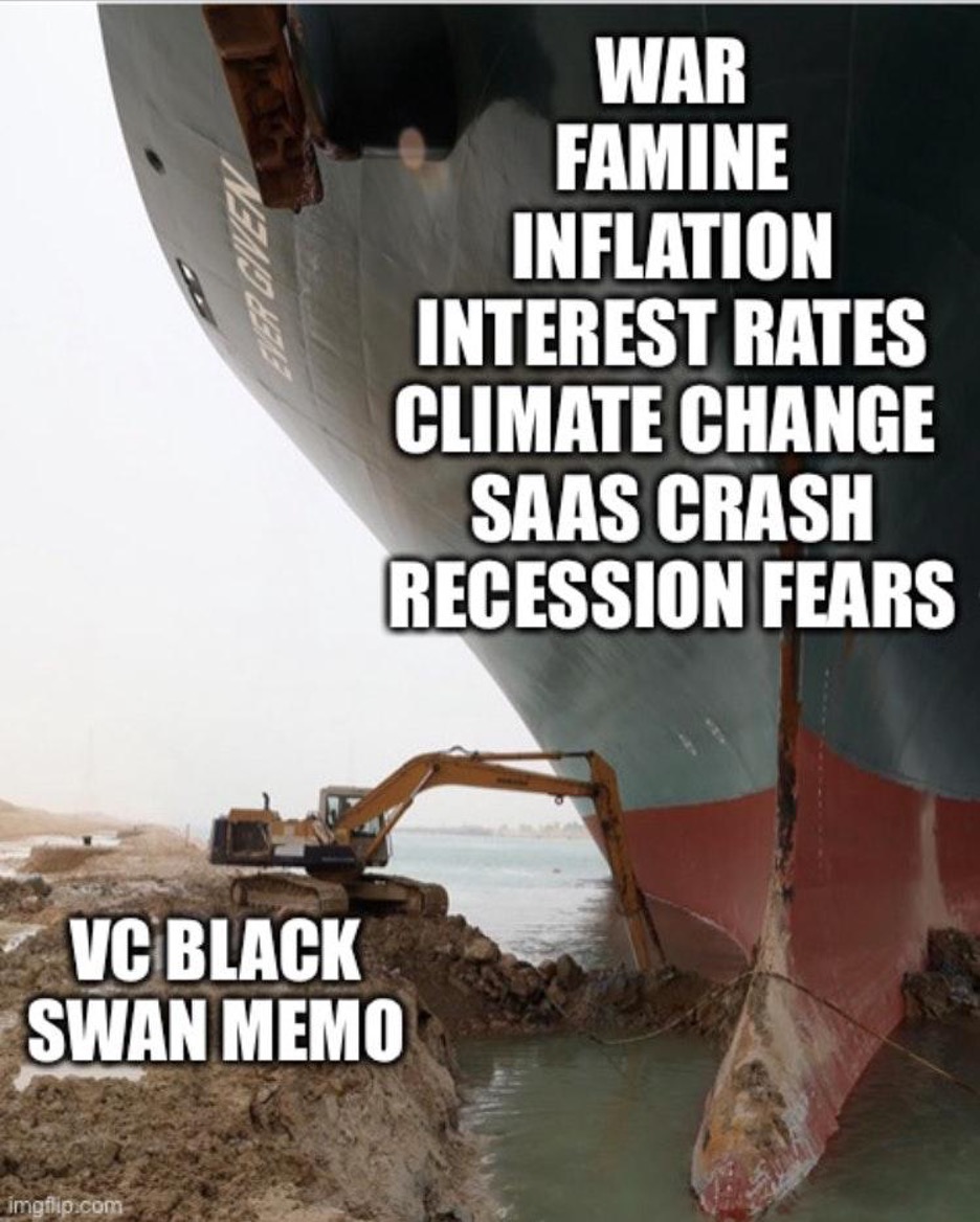 VC Black Swan Memo Meme